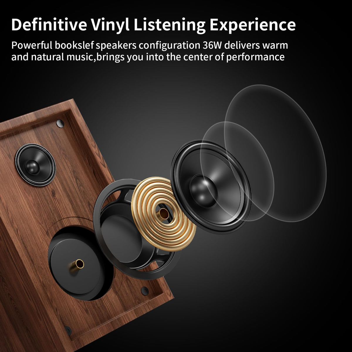 fektik Bluetooth Turntable with Built-in Speaker